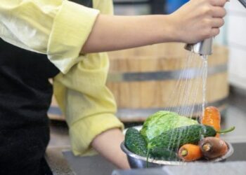 Camboriú abre inscrições para o curso de boas práticas para manipuladores de alimentos