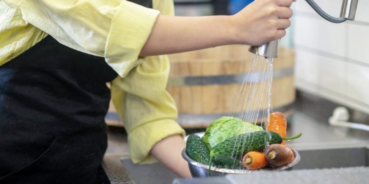 Manipuladores de alimentos