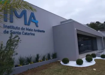 IMA abre processo seletivo com salários de até R$ 10 mil