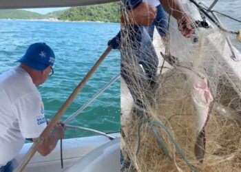 Fiscalização Ambiental salva arraia que estava presa em rede ilegal