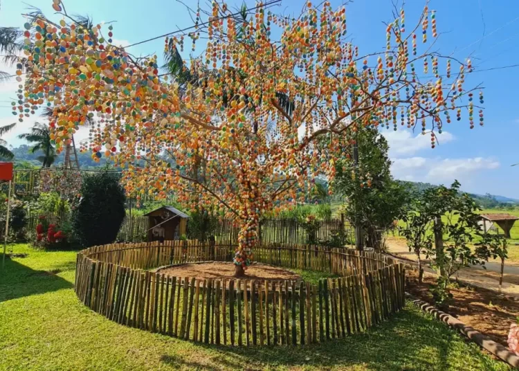 Osterbaum de Camboriú