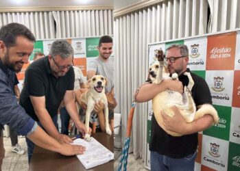 Camboriú terá primeiro Hospital Veterinário