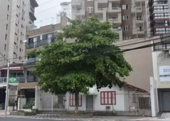 Casa de madeira da avenida Atlântica em Balneário Camboriú começa a ser demolida