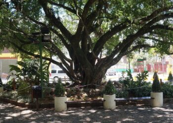 Homem tenta agarrar e beijar adolescente de 13 anos no centro de Camboriú