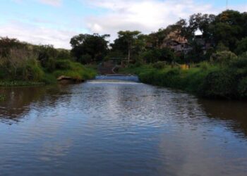Agrotóxicos podem estar contaminando o Rio Camboriú