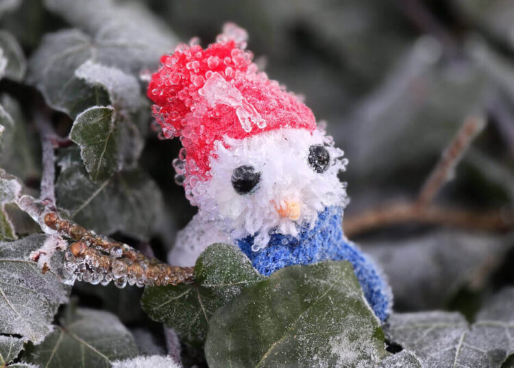 Neve, Chuva Congelada e Frio Intenso