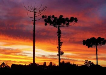 O Frio em SC Está com os Dias Contados; veja previsão