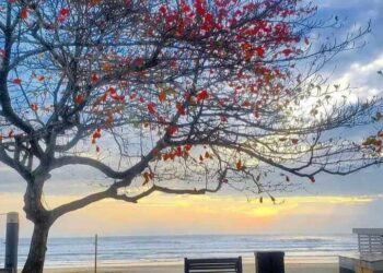 Santa Catarina deve ter temperatura bem elevada nos próximos dias