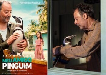Pinguins brasileiras estrelam filme norte americano