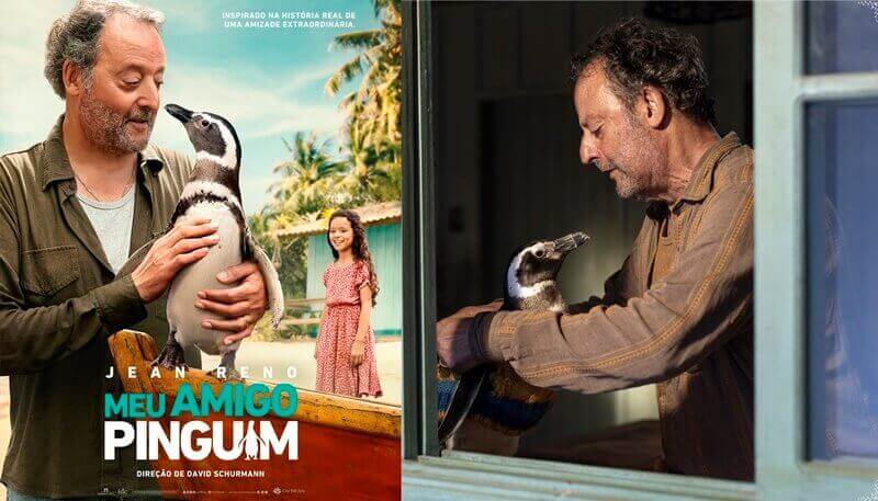 Pinguins brasileiras estrelam filme norte americano