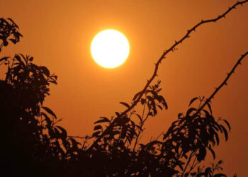 Santa Catarina em Alerta: Onda de Calor com Temperaturas Próximas de 40°C