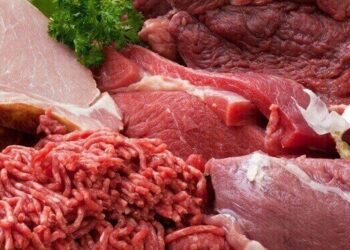 Alta de 30% no preço da carne bovina impacta famílias catarinenses