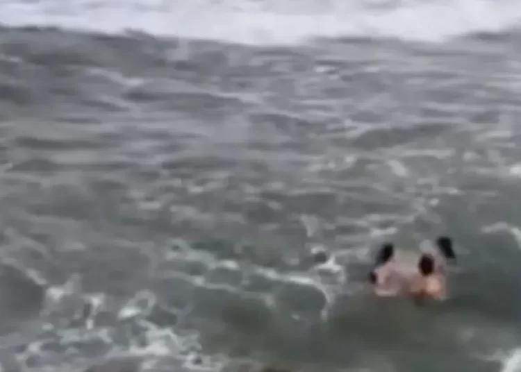 VÍDEO: Guarda-vidas Civil de Folga Salva Três Pessoas de Afogamento na Praia do Atalaia, em Itajaí