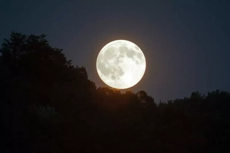 Superlua iluminará o céu nesta quinta-feira: maior e mais brilhante do ano