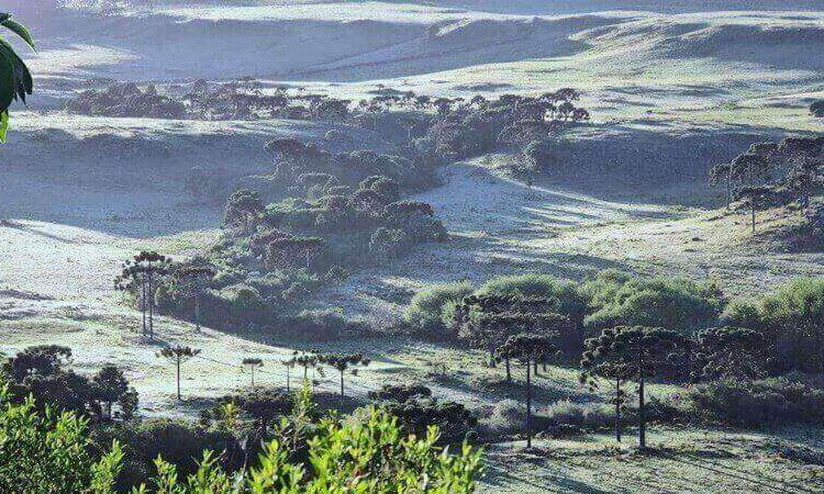 Geada transforma paisagem de São Joaquim em pleno novembro