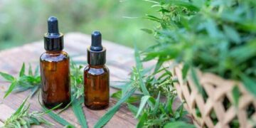 Medicamentos de Cannabis Gratuitos em SC: Projeto é Aprovado