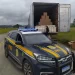 PRF Apreende Caminhão com Mais de uma Tonelada de Cocaína em Itajaí