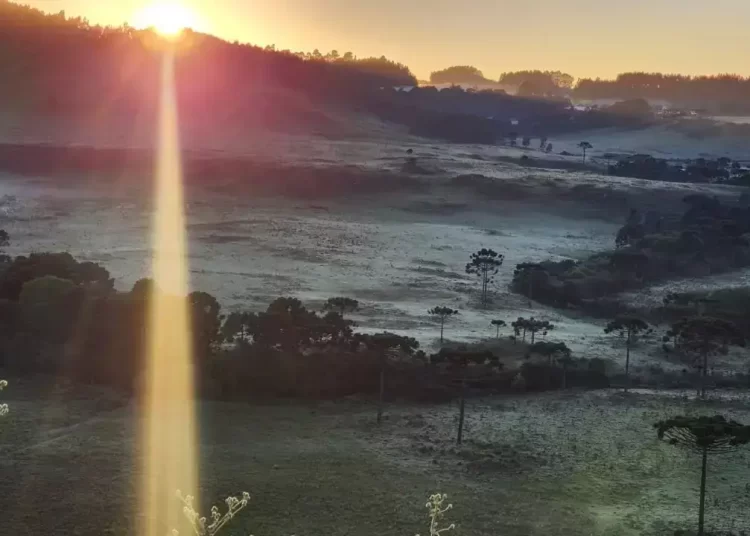 Em meio à primavera, Serra Catarinense registra geada rara e temperatura abaixo de zero