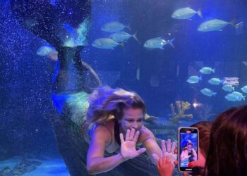 Sereia abre as comemorações de aniversário do  Oceanic Aquarium