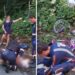Ciclista morre em acidente no Morro entre Brava Norte e Cabeçudas em Itajaí