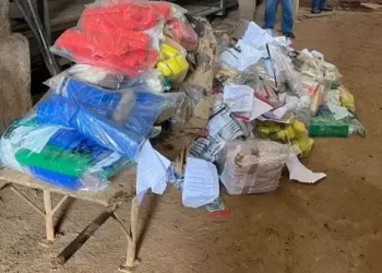 Polícia Civil de Camboriú incinera 300 quilos de drogas apreendidas
