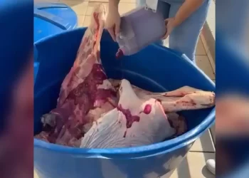 Carnes Estragadas Eram ‘Revitalizadas’ com Corante e Vendidas Como Novas em SC