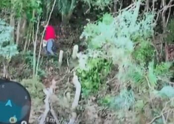 VÍDEO: Desmatamento para condomínio de luxo em Camboriú Causa Revolta