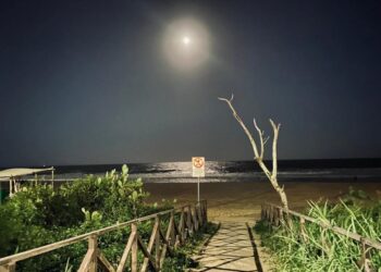 Homem Embriagado Entra no Mar e Desaparece na Praia Brava
