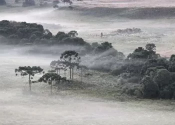 Outono Gelado: Frio e Geada Marcam os Próximos Dias em SC