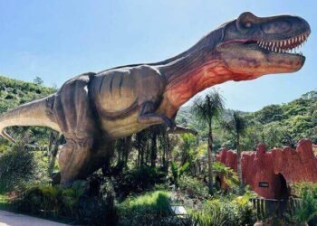 Das telas para vida real: conheça espécies do novo filme de Jurassic Park no maior parque de dinossauros do Brasil 