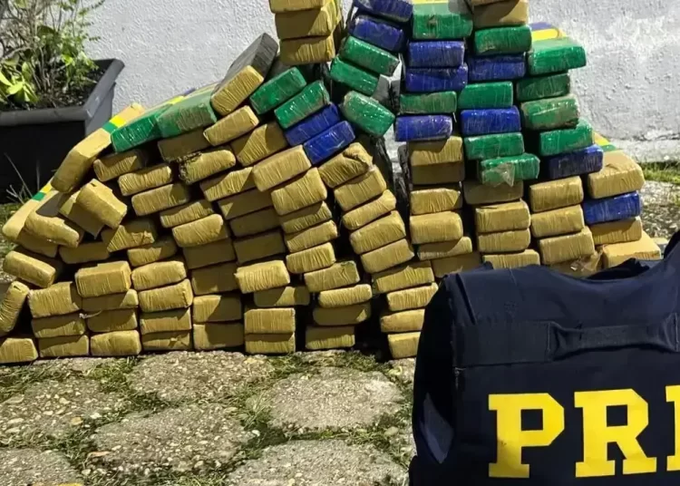 Jovem é preso com mais de 100 quilos de maconha na BR-101 em Balneário Camboriú