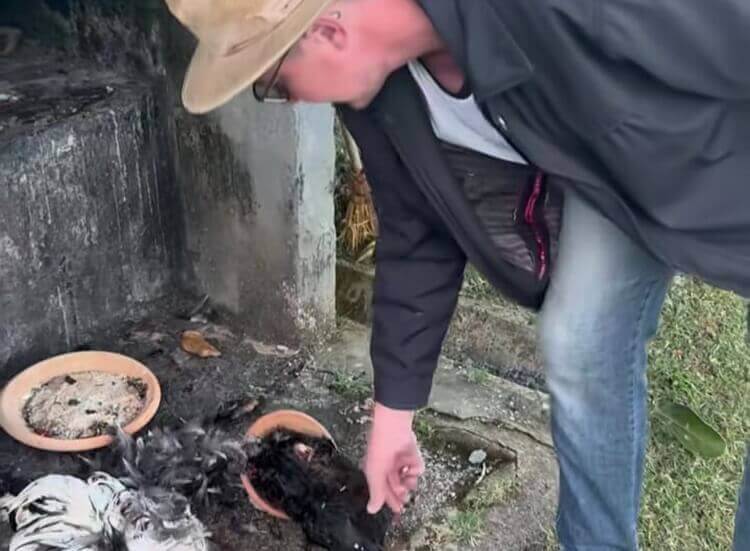 Influenciador revolta-se e retira oferendas de túmulo do pai no Dia dos Pais