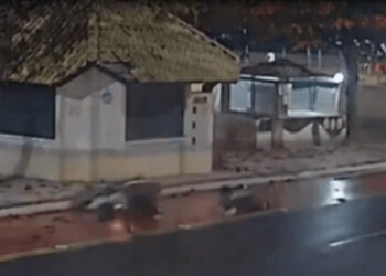 VÍDEO: Motociclista invade ciclovia e atropela ciclista na Avenida Atlântica em Balneário Camboriú