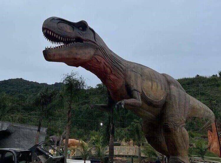 Grupo Oceanic celebra o Mês do Cliente com promoções especiais em atrações de Balneário Camboriú