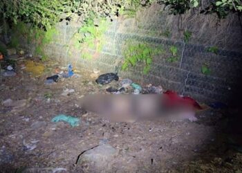 Homem é encontrado morto com sinais de estrangulamento em área de mata em Balneário Camboriú