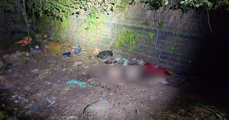 Homem é encontrado morto com sinais de estrangulamento em área de mata em Balneário Camboriú