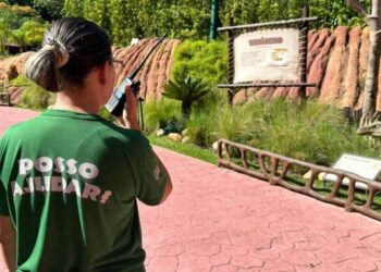 Feirão de Empregos: Grupo Oceanic realiza mutirão de contratação para dezenas de vagas