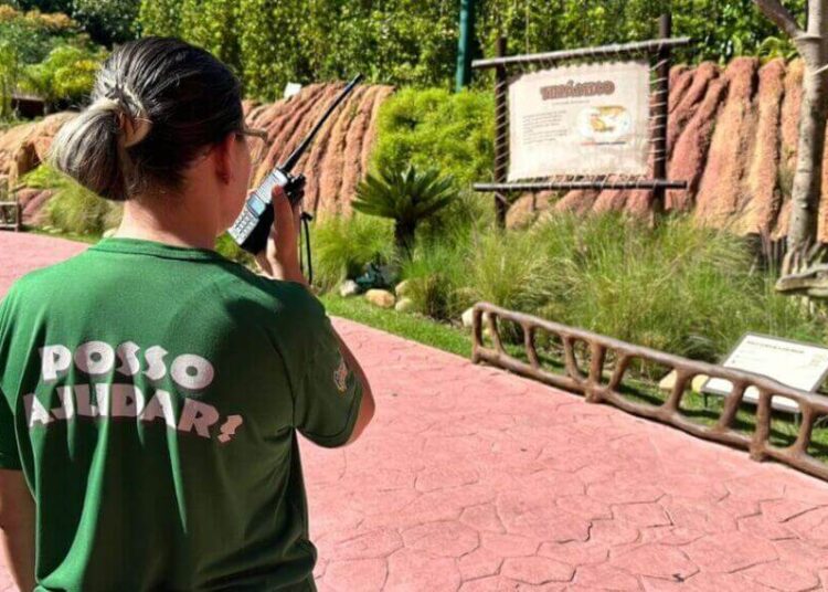 Feirão de Empregos: Grupo Oceanic realiza mutirão de contratação para dezenas de vagas