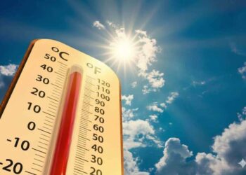 Menina de 4 anos luta pela vida após ficar esquecida em carro sob calor extremo em SC