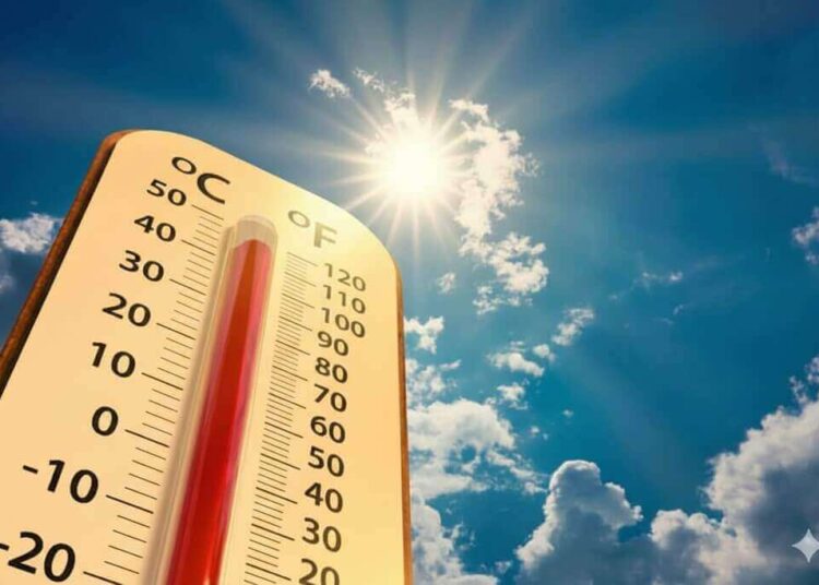 Menina de 4 anos luta pela vida após ficar esquecida em carro sob calor extremo em SC