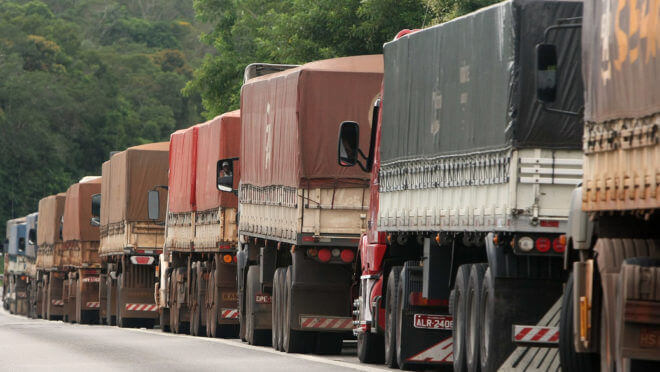 Vídeo: vereador de SC defende matar cães de rua e revolta a internet