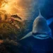 Balneário Camboriú: Oceanic Aquarium e Parque Aventura Jurássica têm promoções especiais no feriado