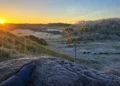 Santa Catarina registra a manhã mais fria de 2026 com -3°C e geada na Serra