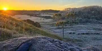 Santa Catarina registra a manhã mais fria de 2026 com -3°C e geada na Serra