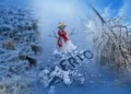 Frio volta com força em Santa Catarina e pode chegar a 0°C