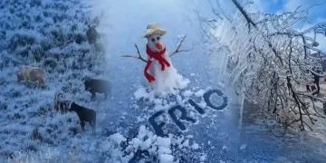Frio volta com força em Santa Catarina e pode chegar a 0°C