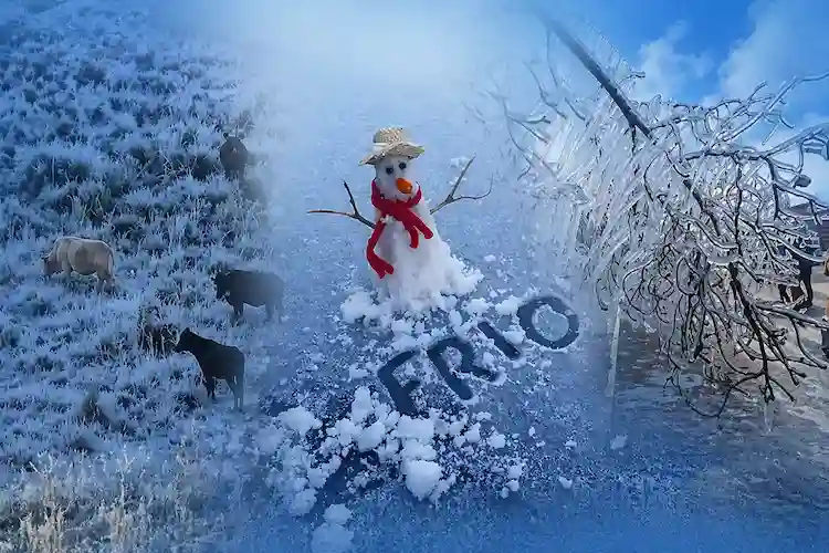 Frio volta com força em Santa Catarina e pode chegar a 0°C
