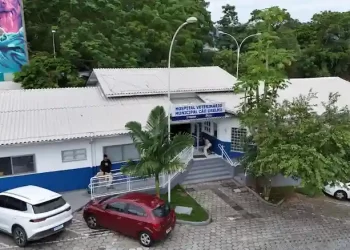 Cão Orelha: SC ganha primeiro hospital veterinário público com exames e internação