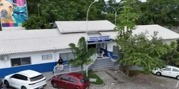 Cão Orelha: SC ganha primeiro hospital veterinário público com exames e internação