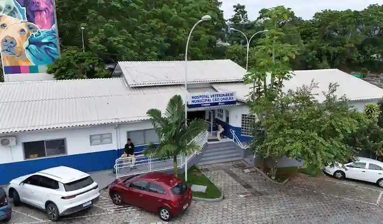 Cão Orelha: SC ganha primeiro hospital veterinário público com exames e internação